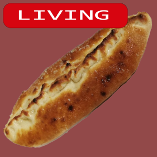 Living Stangerl